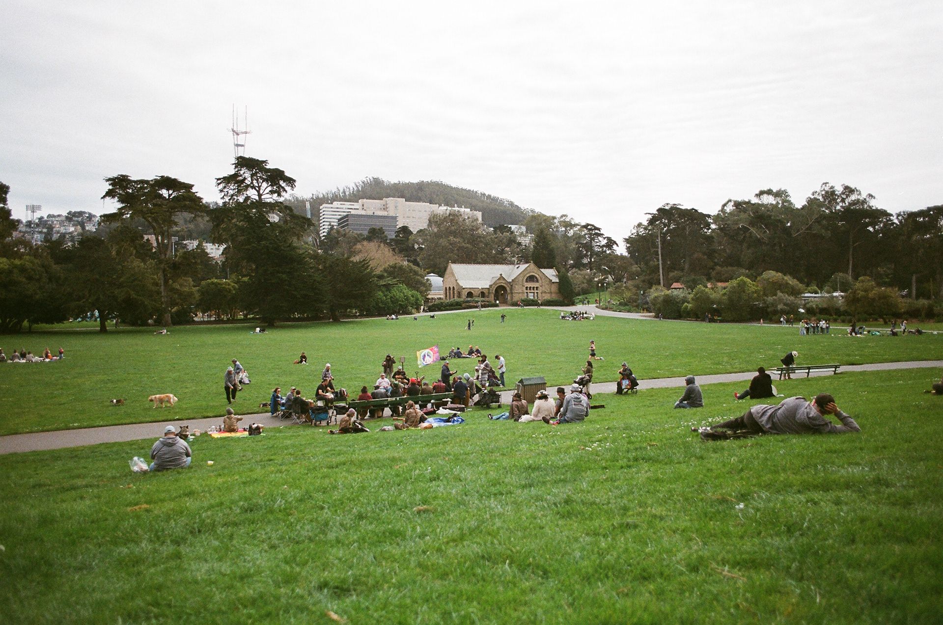 sf