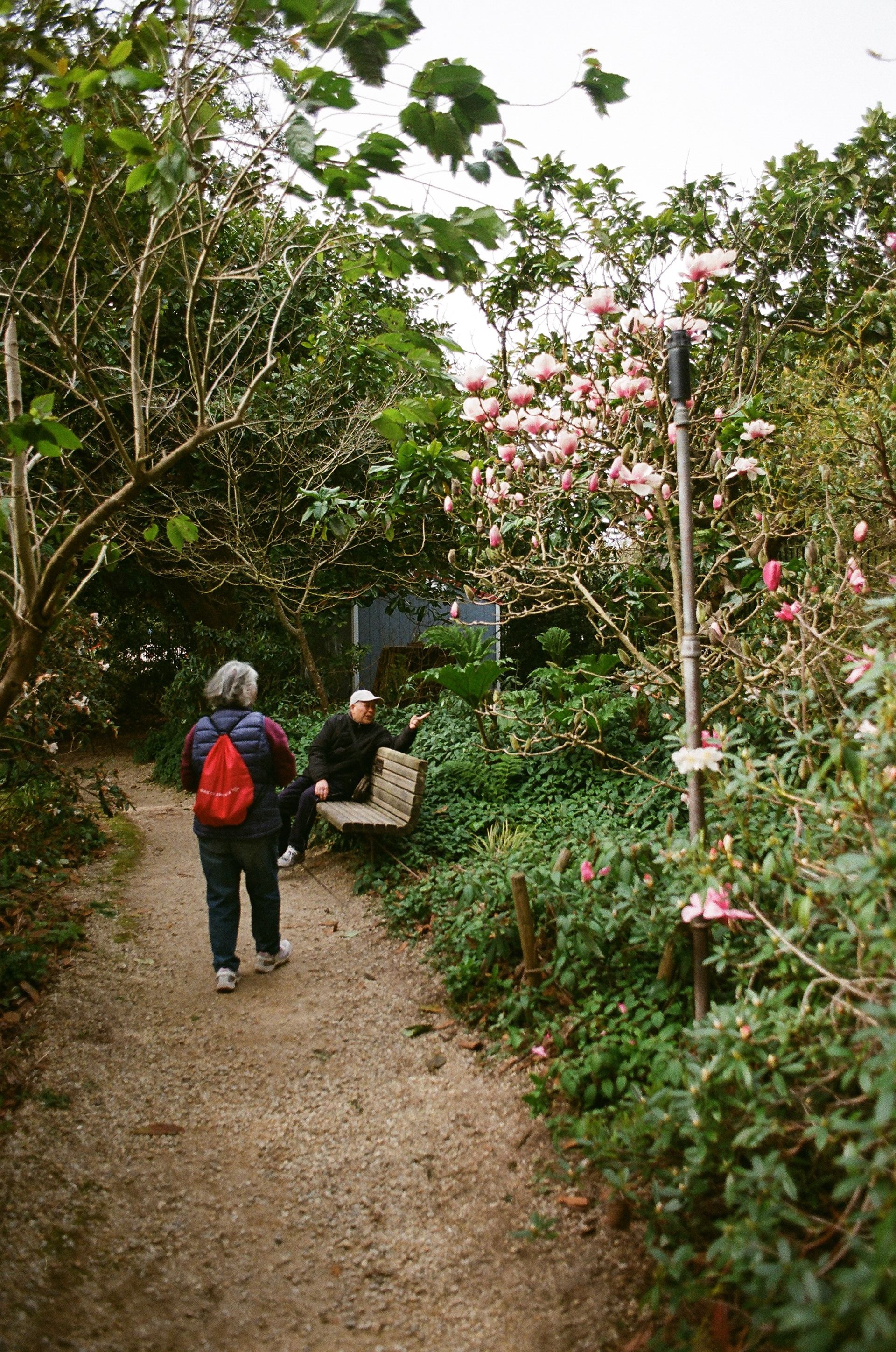 sf